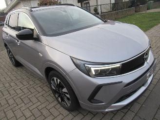 Schadeauto Opel Grandland GrandLand X 1.2B 130pk AUT. INNOVATION  Climatronic HalfLeer Navi Camera Stoel/StuurVerwarming 2023/4