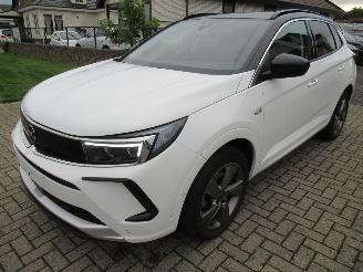 škoda osobní automobily Opel Grandland GrandLand X  1.2T 130pk AUT. Climatronic HalfLeer/Alcant Navi Camera Keyless-Go Stoel/Stuur-Verwarming 2024/5