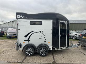 Cheval Liberte  2 paards picture 14