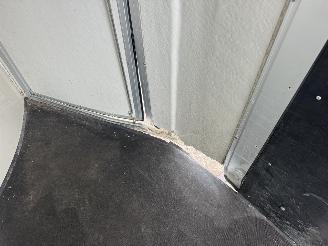 Cheval Liberte  2 paards picture 7