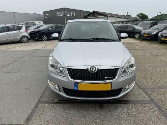 Skoda Fabia 1.2 TDI Greenline picture 15