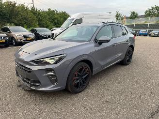 Schadeauto Cupra Terramar VZ 195KW PANO Kuipstoelen Vierwielaandrijving LED VOLLE 2025/7