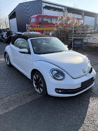 Coche siniestrado Volkswagen Beetle Cabriolet 2015/7