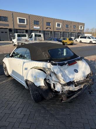 Volkswagen Beetle  picture 4