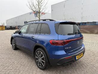 Mercedes EQB 350 4MATIC AMG Line 7-Persoons 67kWh picture 6