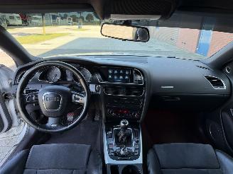 Audi S5 4.2 V8 quattro picture 12