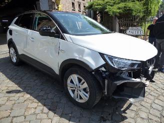 Opel Grandland X Innovation picture 2