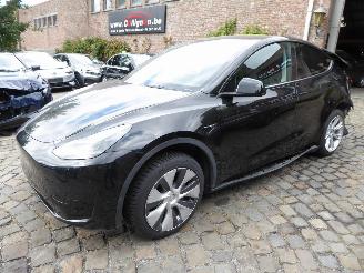 Avarii autoturisme Tesla Model Y  2024/1