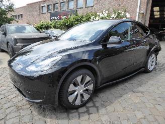 Auto incidentate Tesla Model Y  2024/1