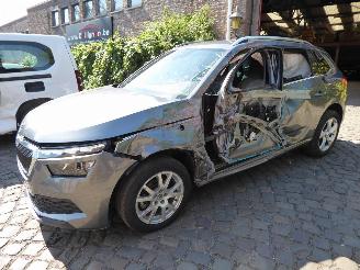 Auto incidentate Skoda Kamiq Style 2023/1