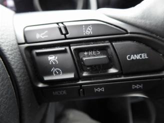 Toyota Yaris Cross Hybrid picture 13