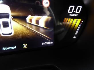 MG ZS 1.5 Hybrid+ 145 kW picture 22