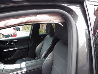 Mercedes GLC 300 e 4Matic picture 11