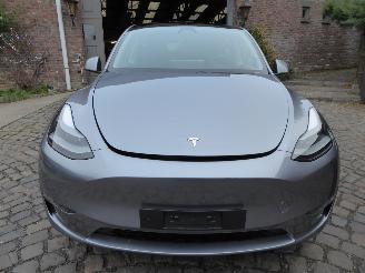 Tesla Model Y Long Range Dual AWD picture 2