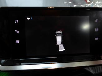 Peugeot 208 Active Pack picture 20