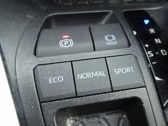 Toyota Rav-4 2.5 Hybrid Style Selection Auto picture 20