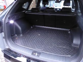 Hyundai Tucson 1.6 T-GDI Hybrid N Line Auto picture 12