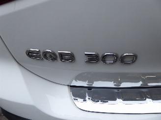 Mercedes EQB 300 4Matic AMG Line picture 10
