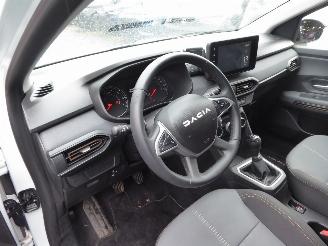 Dacia Sandero TCe 90 Stepway Extreme picture 12