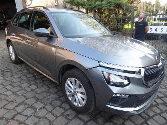 Skoda Kamiq Selection picture 4