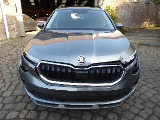 Skoda Kamiq Selection picture 3
