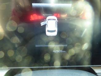 Kia Niro Plug-in Hybrid picture 13