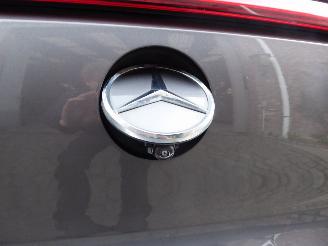 Mercedes EQB 250+ AMG Line picture 6