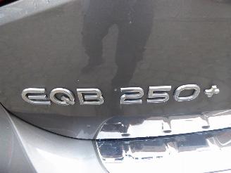 Mercedes EQB 250+ AMG Line picture 7