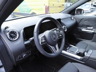 Mercedes EQA 250+ Luxury Line picture 13