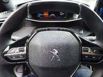 Peugeot 2008 e- GT picture 20