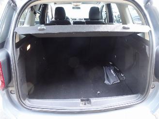 Dacia Duster II Journey picture 28