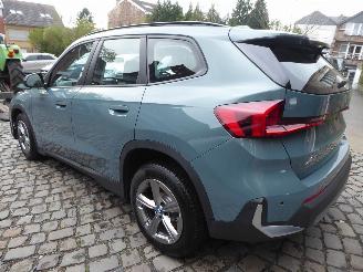 BMW X1 25 e xDrive picture 8
