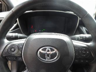 Toyota Corolla Touring Sports Hybrid picture 13