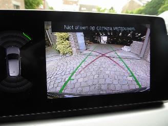 BMW X1 xDrive 25 e Advantage picture 24