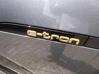 Audi E-tron 55 quattro advanced picture 31