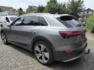 Audi E-tron 55 quattro advanced picture 7
