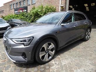 skadebil auto Audi E-tron 55 quattro advanced 2019/6