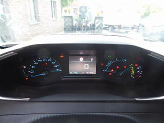 Peugeot e-2008 Active picture 12
