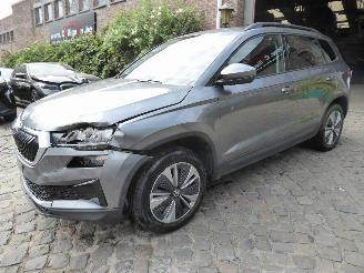 Auto incidentate Skoda Karoq Ambition 2024/1
