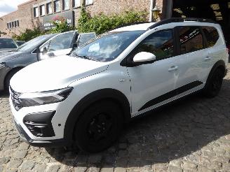 Auto incidentate Dacia Jogger Expression 2025/9