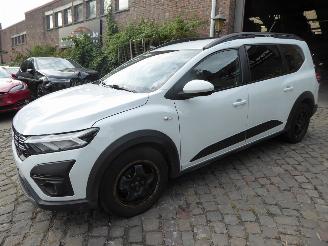 Vaurioauto  passenger cars Dacia Jogger Expression 2024/10