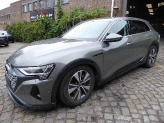 Unfallwagen Audi Q8 e-tron 50 quattro advanced 2024/8