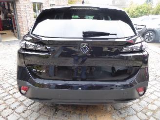 Peugeot 308 SW e- Style picture 9