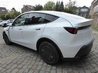 Tesla Model Y RWD picture 9