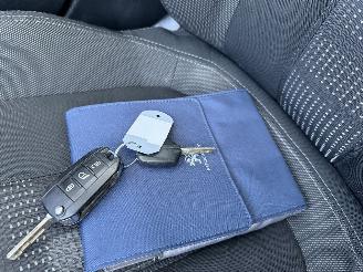 Peugeot 308 1.6 BlueHDI Blue Panorama Camera Euro-6 picture 12