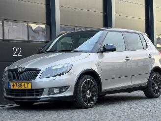 ocasión turismos Skoda Fabia 1.6 TDI Monte-Carlo Dak Navi Clima 2013/5