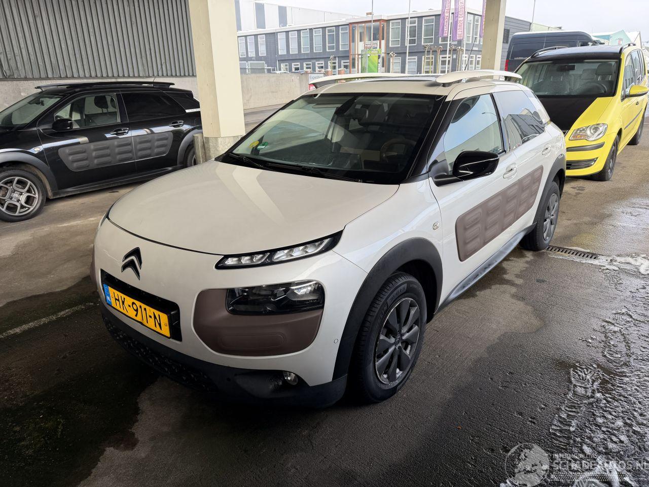 Citroën C4 cactus 1.6 BlueHDi Panorama Camera