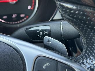 Mercedes C-klasse 220 CDI AMG Pano Camera Leer EURO-6 picture 13