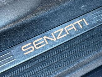 Mercedes V-klasse 250d ORG Jetclass Senzati VIP picture 18