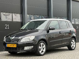 Ocazii autoturisme Skoda Fabia 1.2 TDI Greenline 2011/7